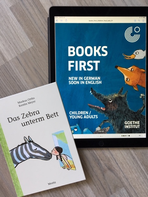 The Zebra Under the Bed selected by Goethe Institut